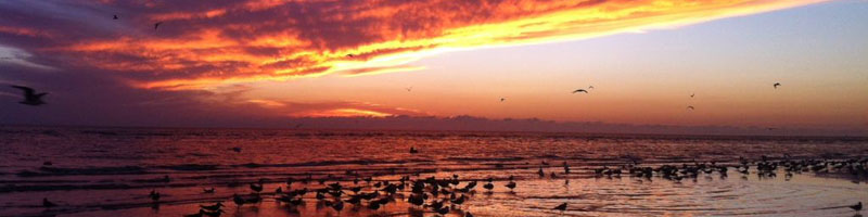 Siesta Key has the most Beautiful Sunsets in all of Florida